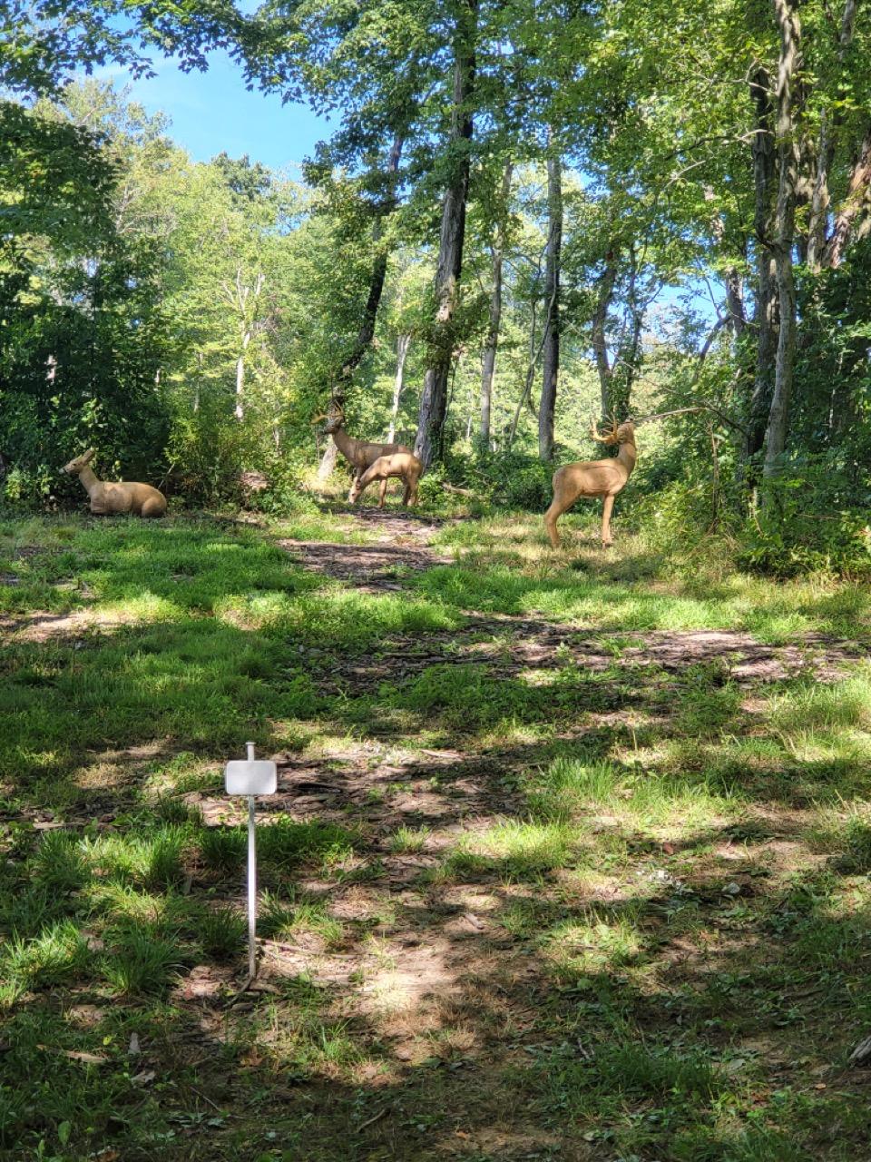 2022 PHOTOS HUNT OF A LIFETIME – FIVE POINTS HUNTING CLUB