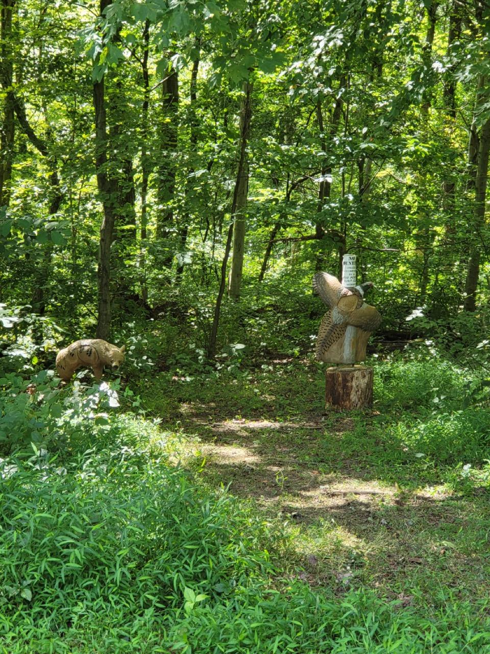 2022 PHOTOS HUNT OF A LIFETIME – FIVE POINTS HUNTING CLUB